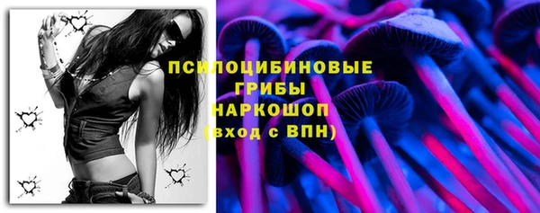 дживик Алзамай