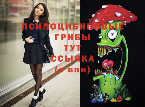 таблы Алексин